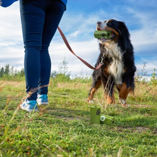 Sacs à Déjections Canines Biodegradables - Lot de 540